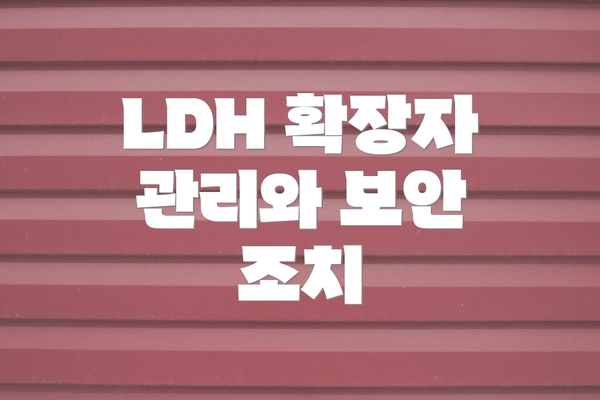 LDH 확장자 관리와 보안 조치