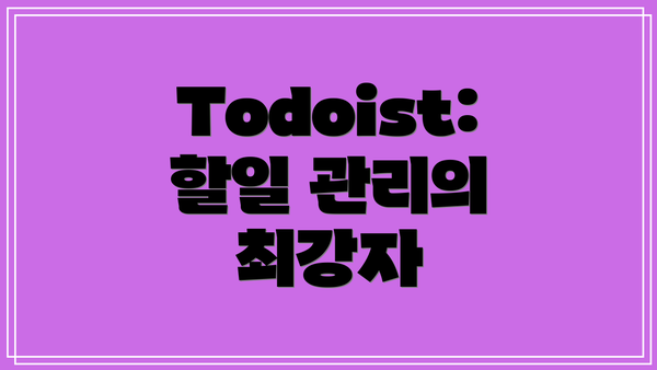 Todoist: 할일 관리의 최강자