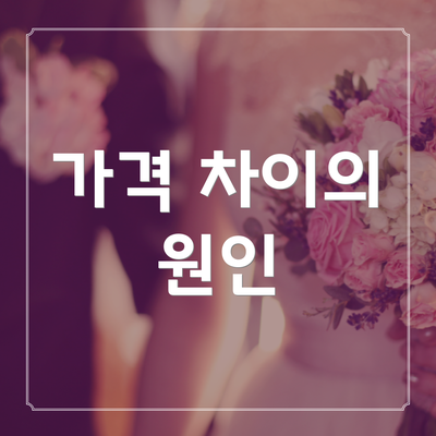 가격 차이의 원인