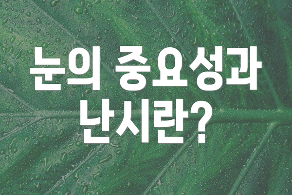눈의 중요성과 난시란?