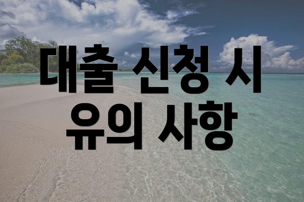 대출 신청 시 유의 사항