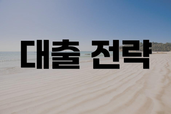 대출 전략