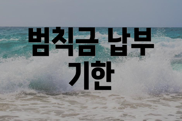 범칙금 납부 기한