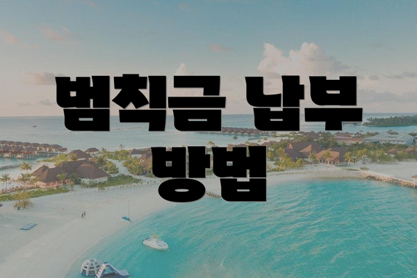범칙금 납부 방법
