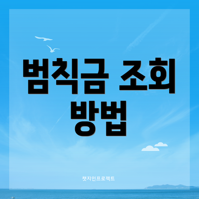 범칙금 조회 방법
