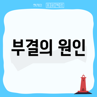부결의 원인