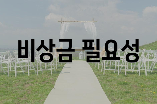비상금 필요성