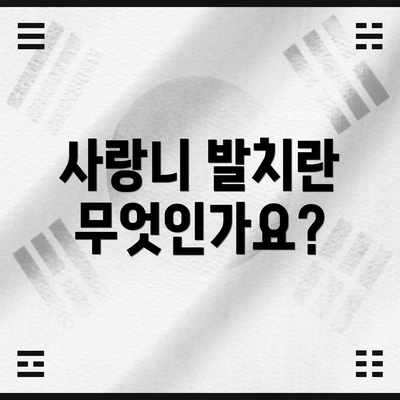 사랑니 발치란 무엇인가요?