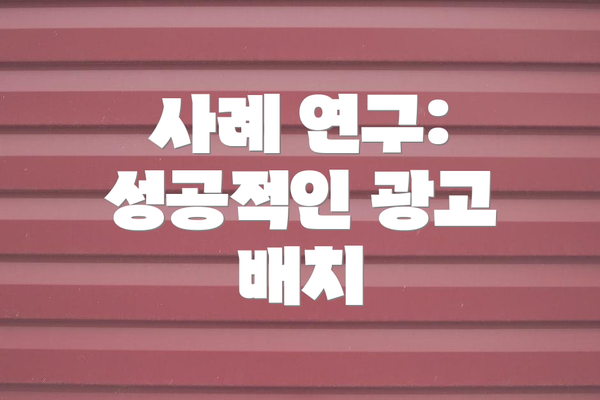 사례 연구: 성공적인 광고 배치