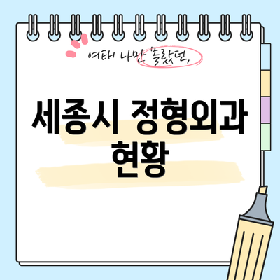 세종시 정형외과 현황