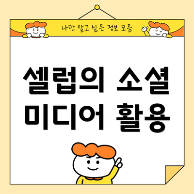 셀럽의 소셜 미디어 활용