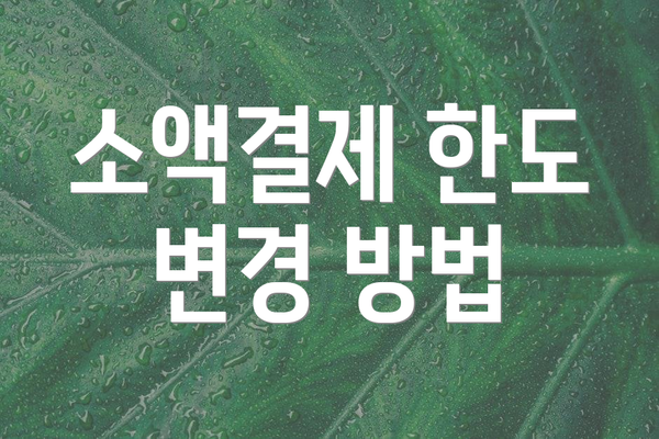 소액결제 한도 변경 방법