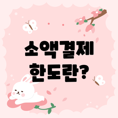 소액결제 한도란?