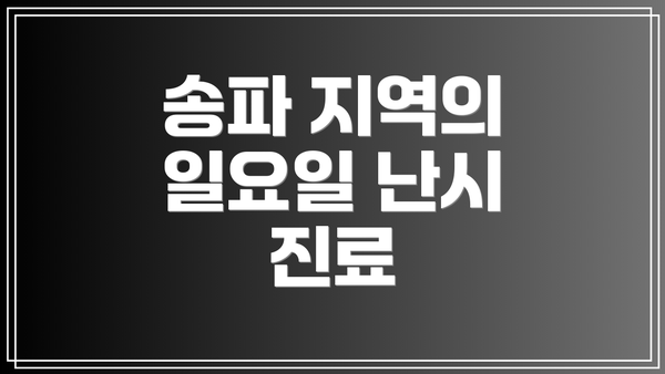송파 지역의 일요일 난시 진료
