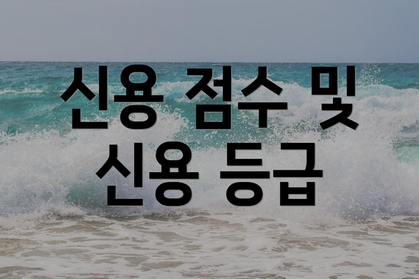 신용 점수 및 신용 등급