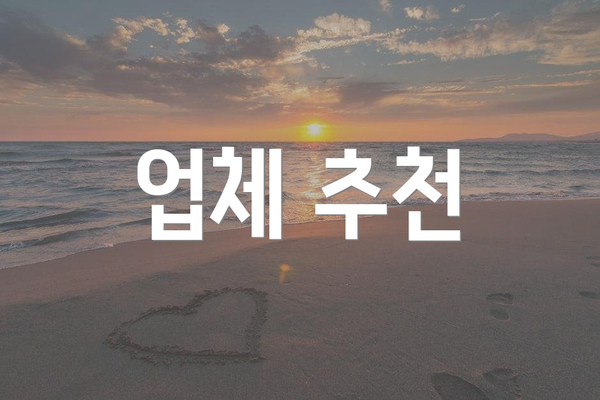 업체 추천