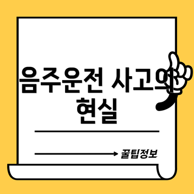 음주운전 사고의 현실