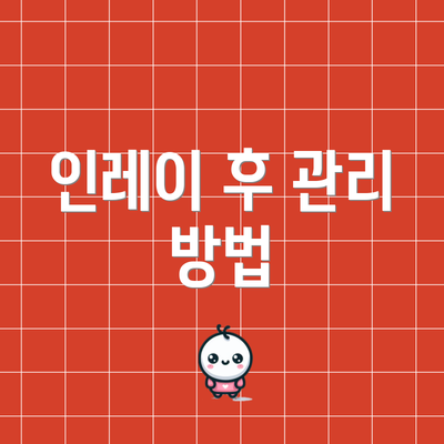 인레이 후 관리 방법