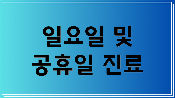 일요일 및 공휴일 진료