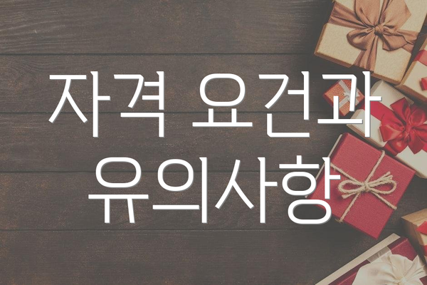 자격 요건과 유의사항