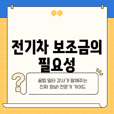 전기차 보조금의 필요성