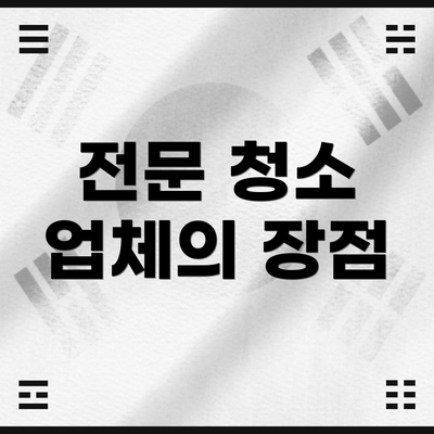 전문 청소 업체의 장점