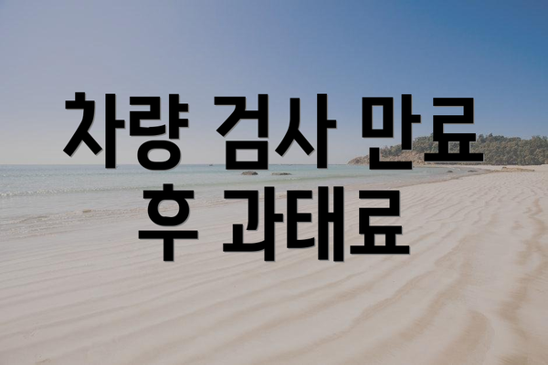 차량 검사 만료 후 과태료