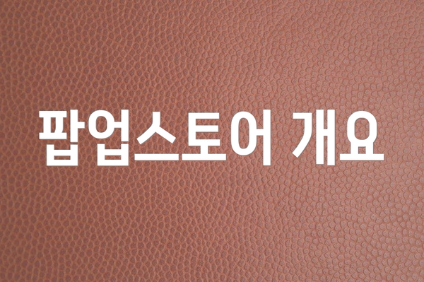 팝업스토어 개요