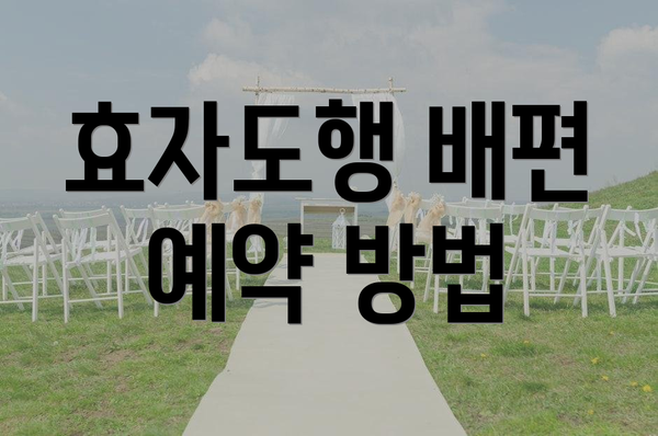 효자도행 배편 예약 방법