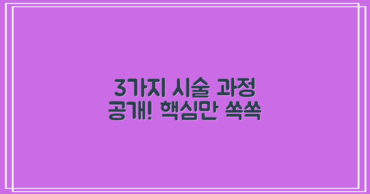 3가지 시술 과정