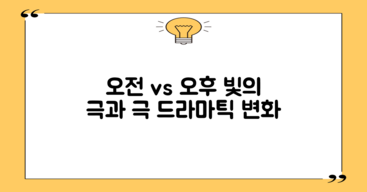 오전 vs 오후, 빛의 변화