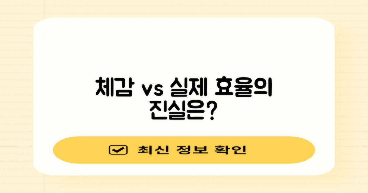체감 vs 실제 효율