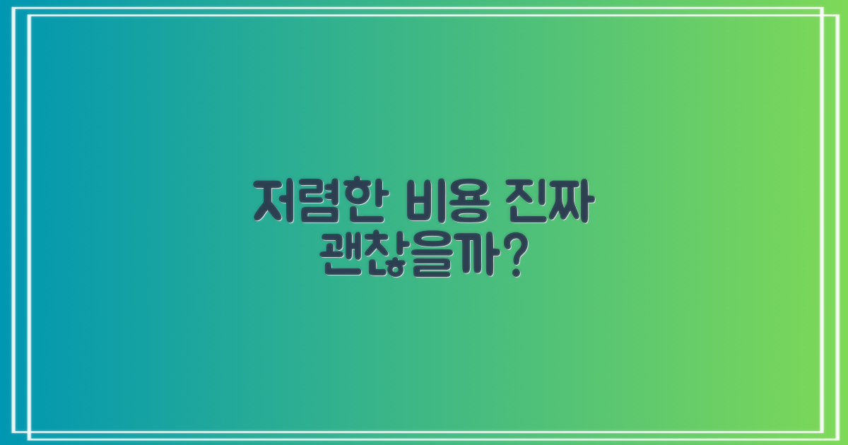 저렴한 비용, 정말 괜찮을까?